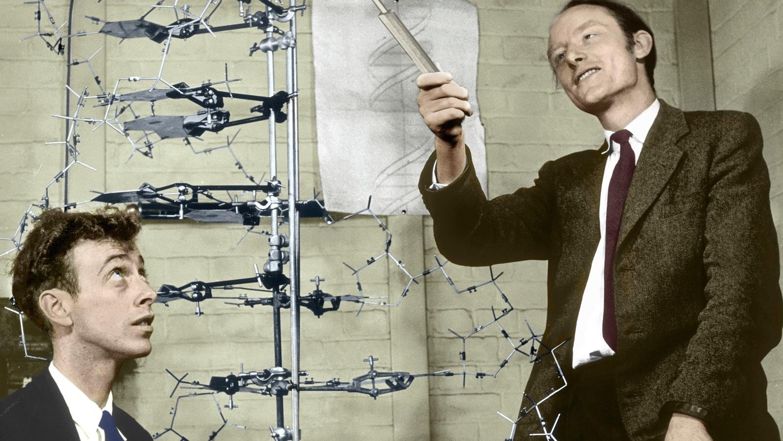 James Watson &amp; Francis Crick - DNA