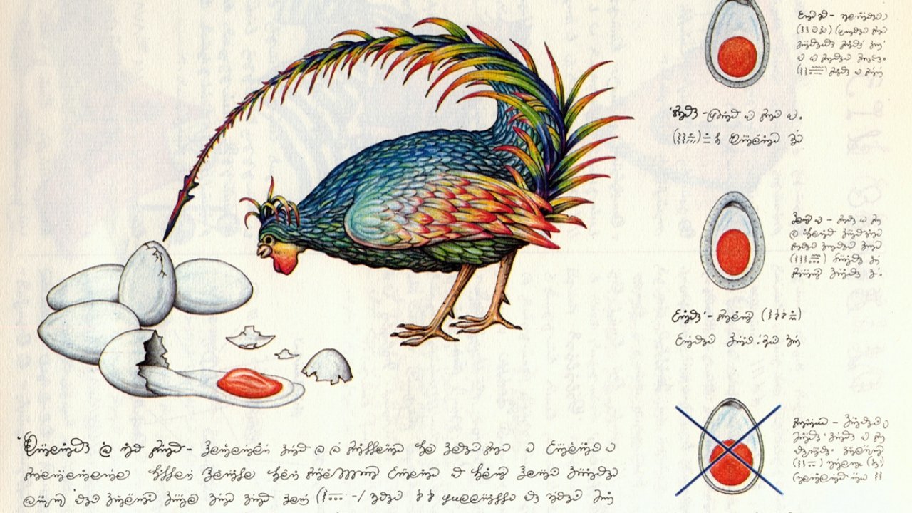 codex_capa_ilustracao.jpg