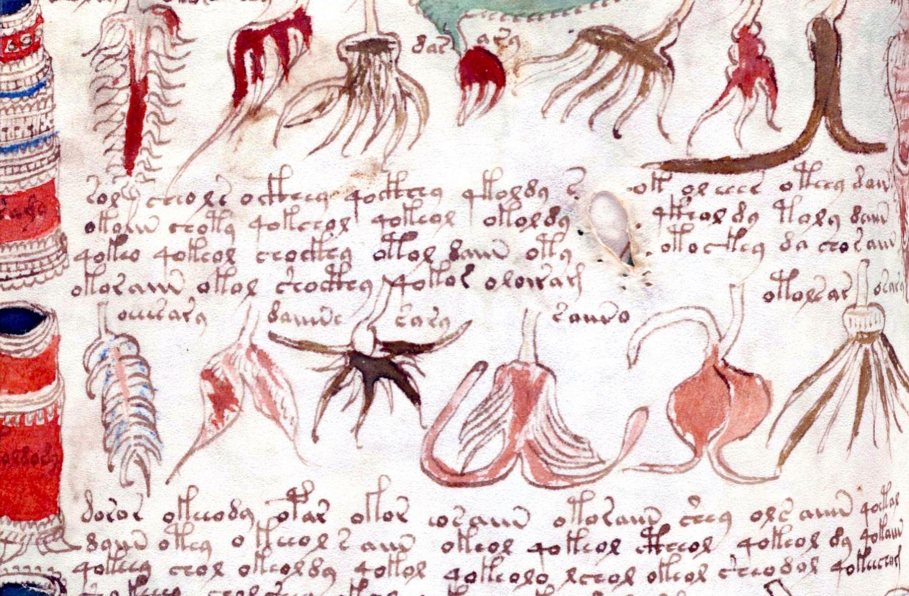 voynich-manuscript-1830x1200.jpg