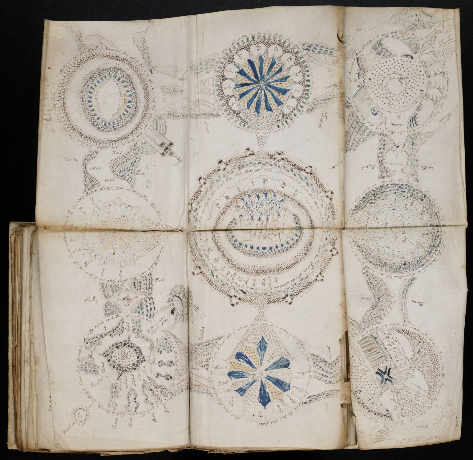 voynich_manuscript_158.jpg
