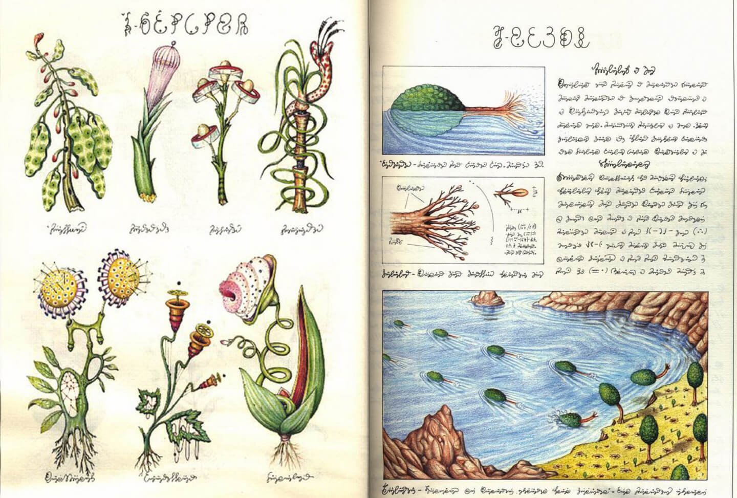 codex-um.jpg