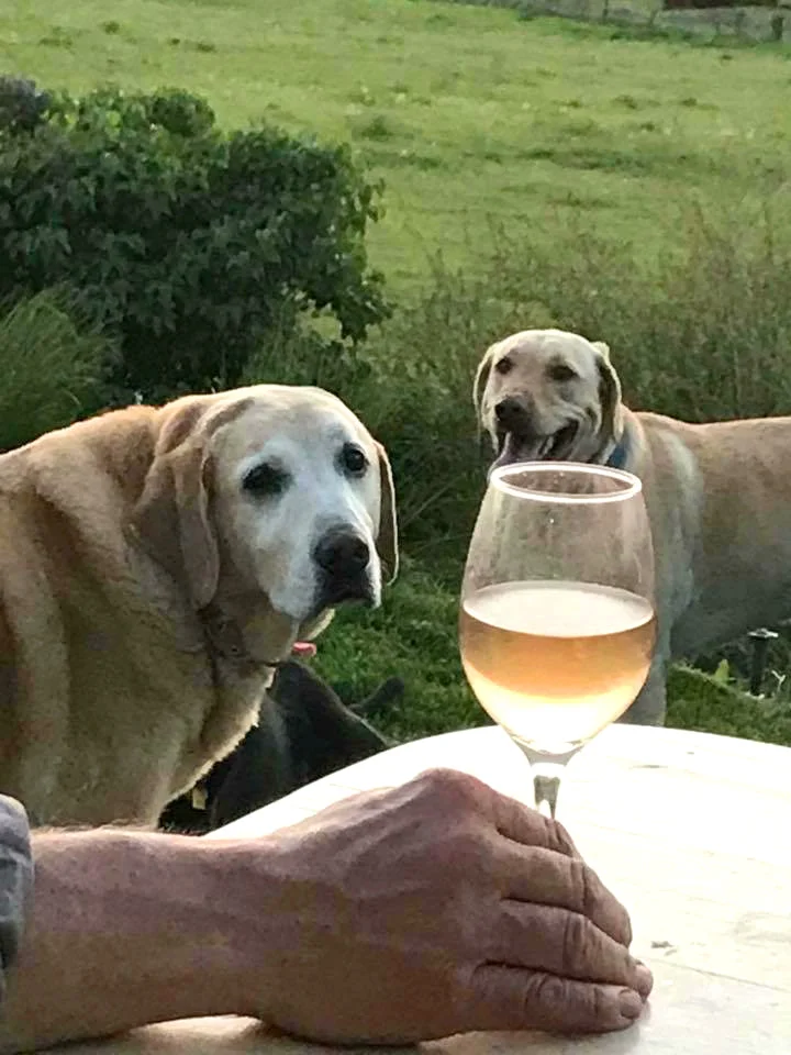 2labs.jpg