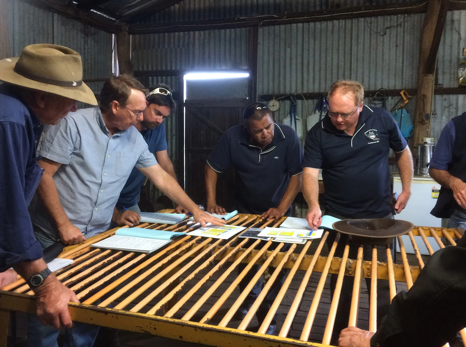 Above: Lifetime Ewe Management Training at Dowrene Farm, Cranbrook