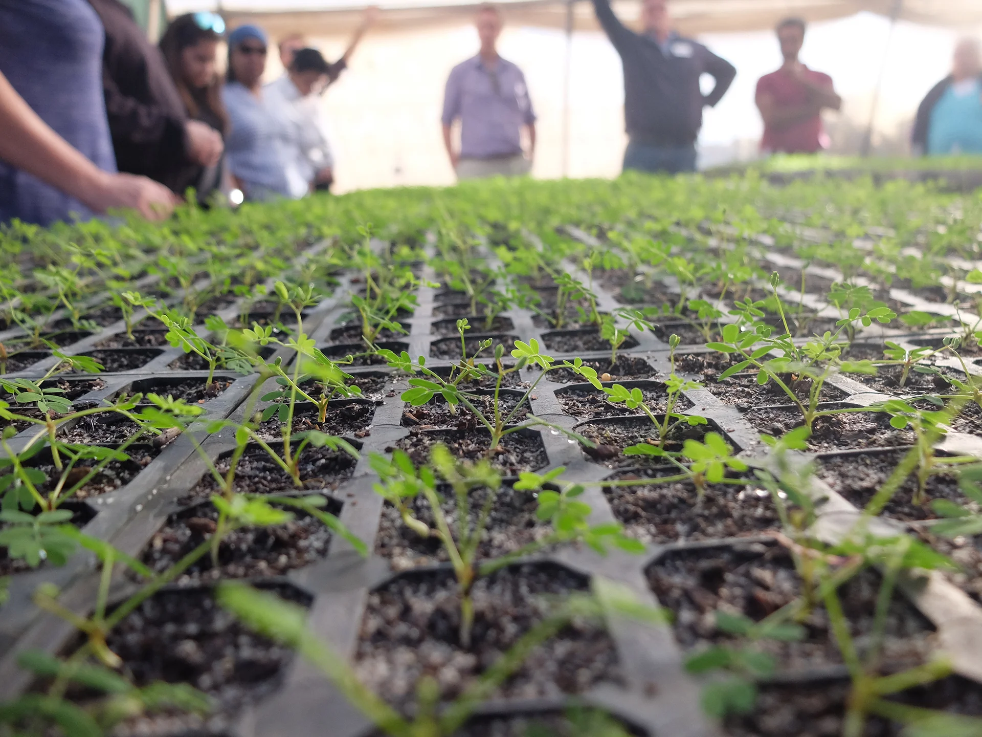 Objectives and priorities — Noongar Land Enterprise Group NLE