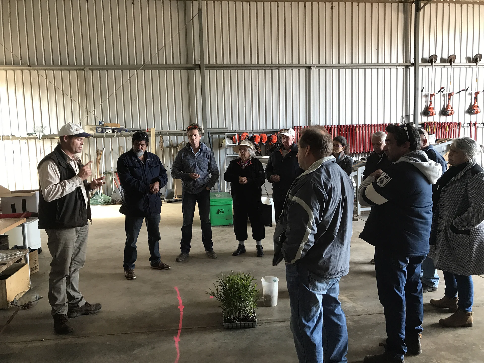 Training, Education and Social Services — Noongar Land Enterprise Group