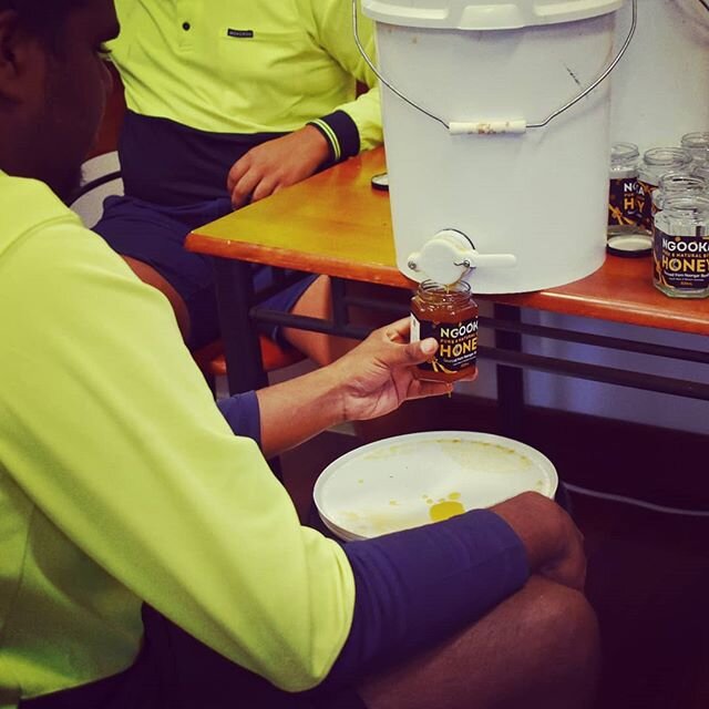 Local youth from the community helping out at Roelands Village by pouring our honey from the vat into the NLE Ngooka branded jars. Was great to have them come and lend a hand. Big thanks 😀

#indigenousaustralia #indigenousfood #indigenous #indigenou