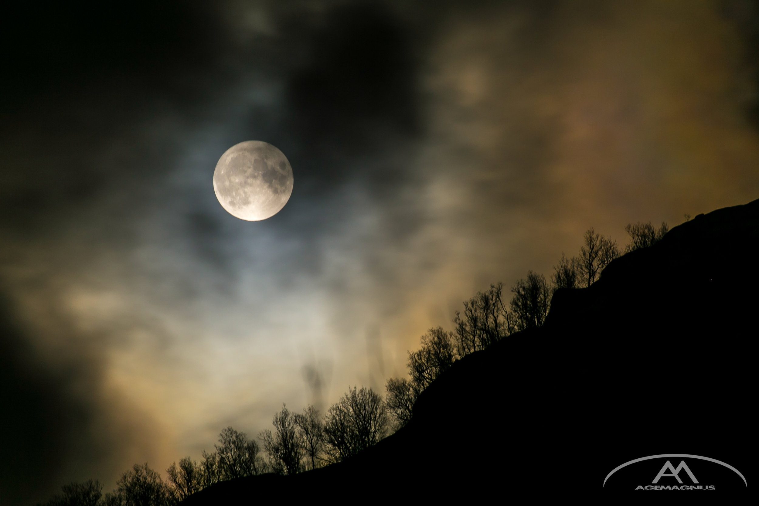 Moonlight-3-2.jpg