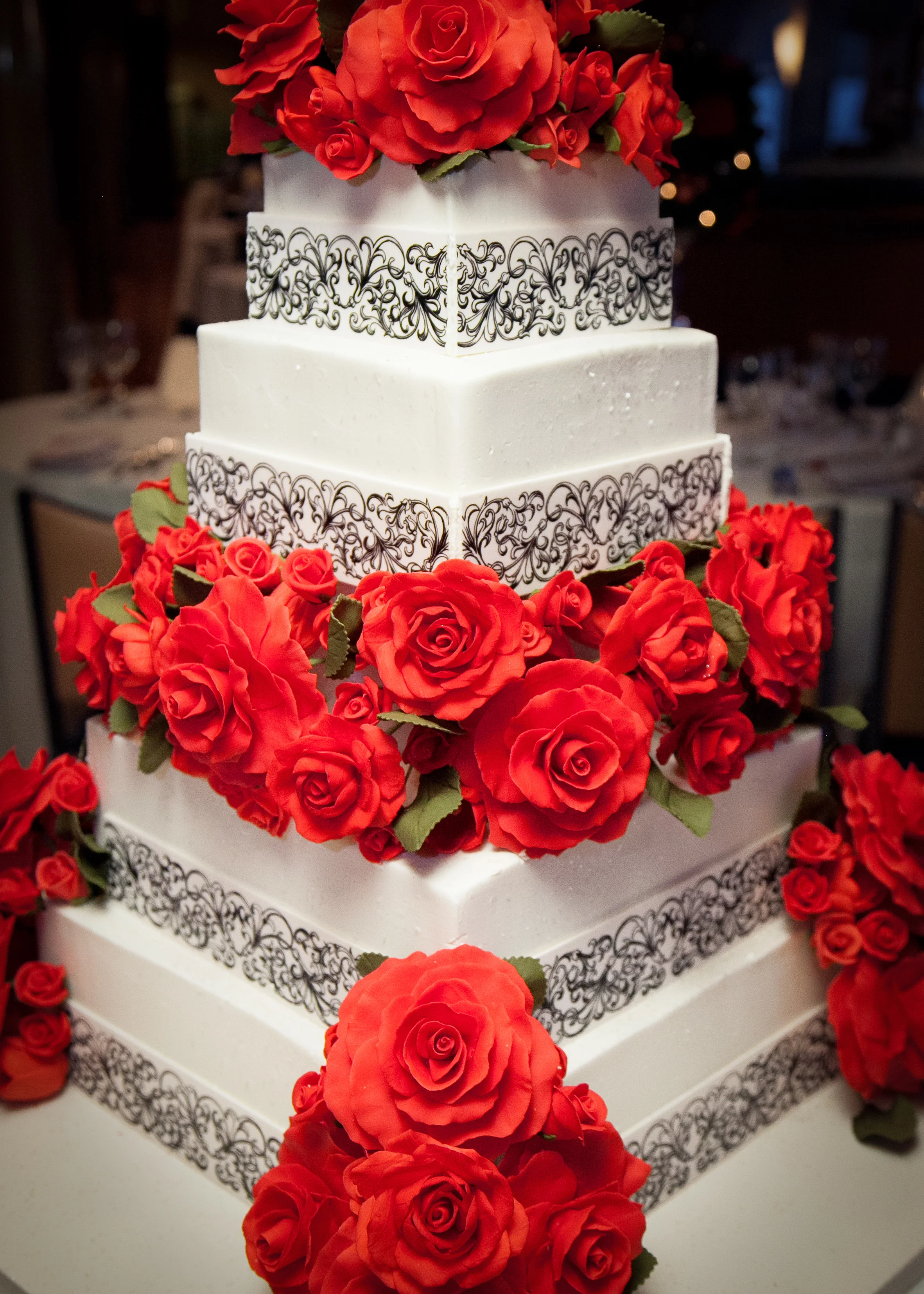 130914_CD3031 copy.JPG