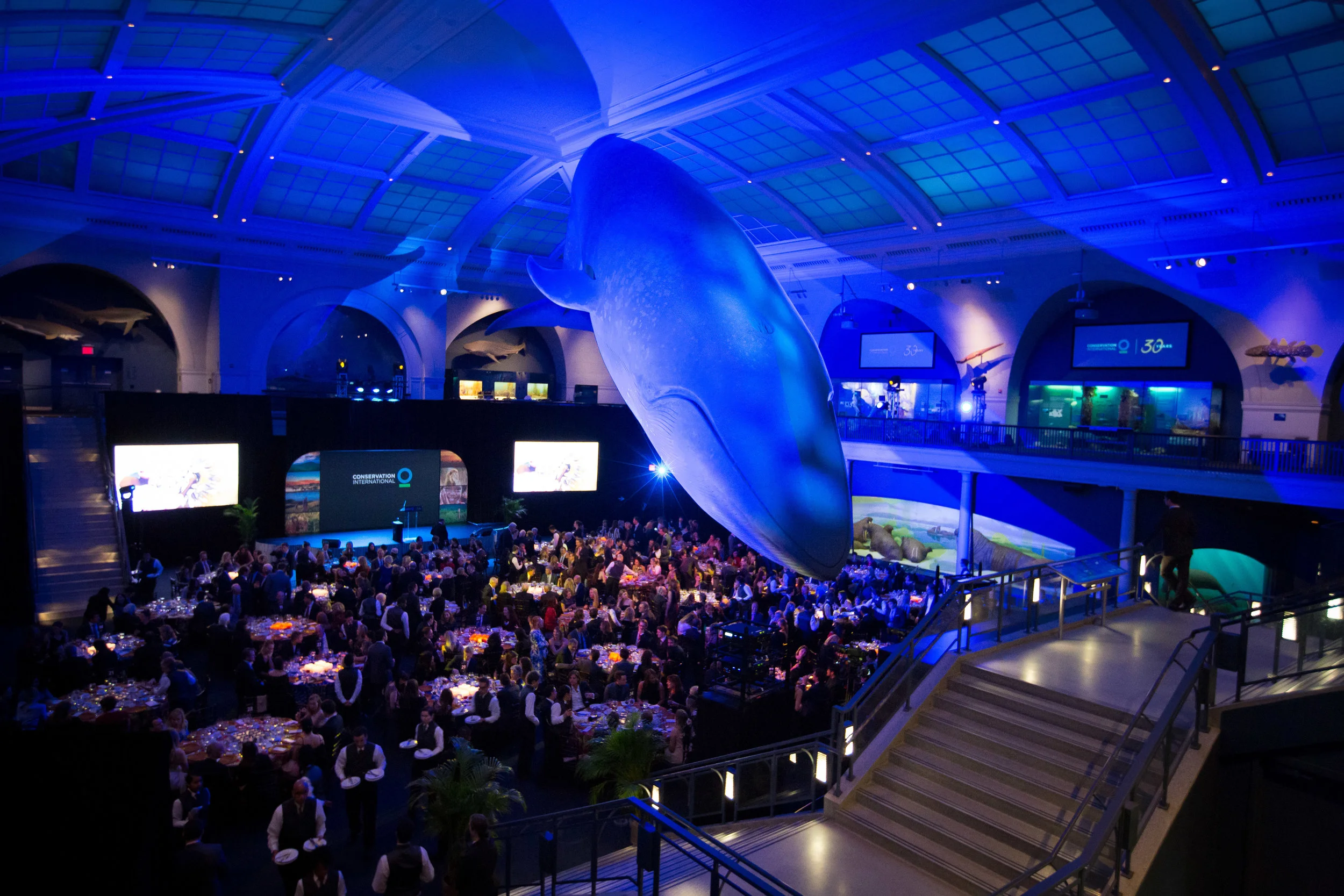  Valerie Caviness Photography, Photographer, New York, NYC, Albany, Event Photographer, Corporate Headshot Photography, Executive Portraits, Lifestyle Photographer, Celebrity Photographer, Wedding Photographer, Natural History, Museum 