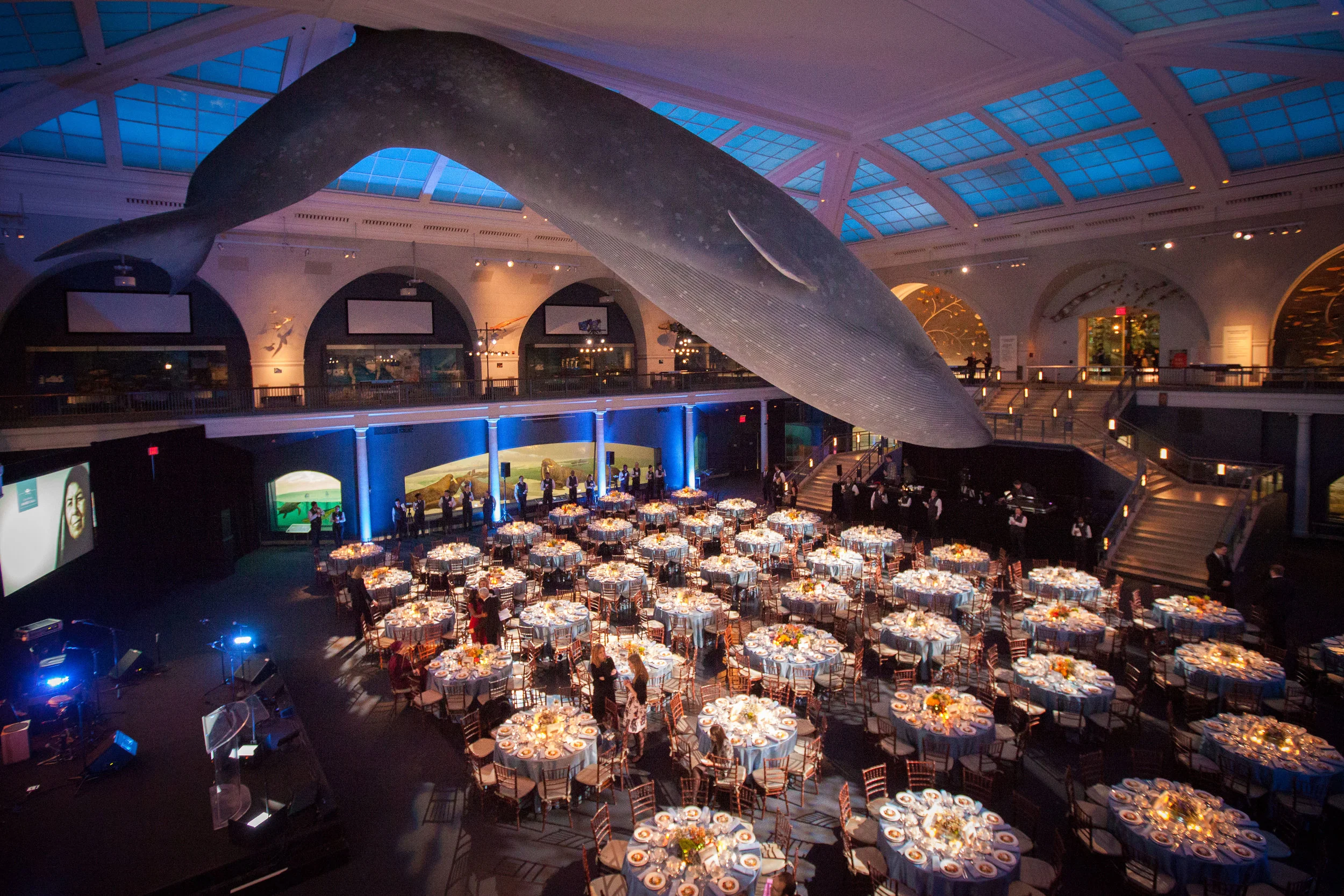  Valerie Caviness, Photography, Photographer, New York, NYC, Albany, Brooklyn, Event Photographer, Portrait Photographer, Corporate Headshot Photographer, Executive Portraits, Wedding Photographer, Lifestyle Photographer, Celebrity Photographer, Muse