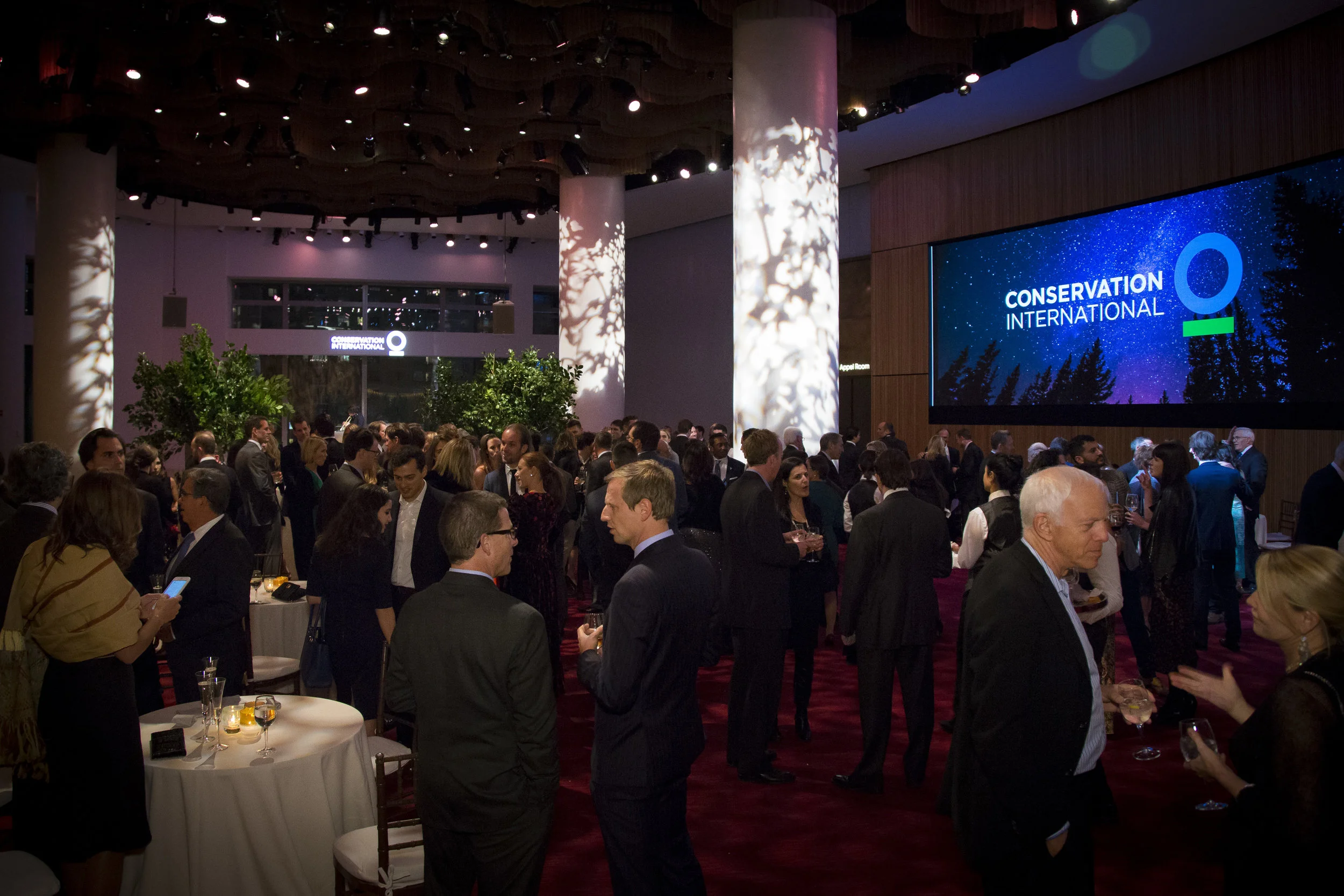  Valerie Caviness, Photography, Photographer, New York, NYC, Albany, Brooklyn, Event Photographer, Portrait Photographer, Corporate Headshot Photographer, Executive Portraits, Wedding Photographer, Lifestyle Photographer, Celebrity Photographer, 