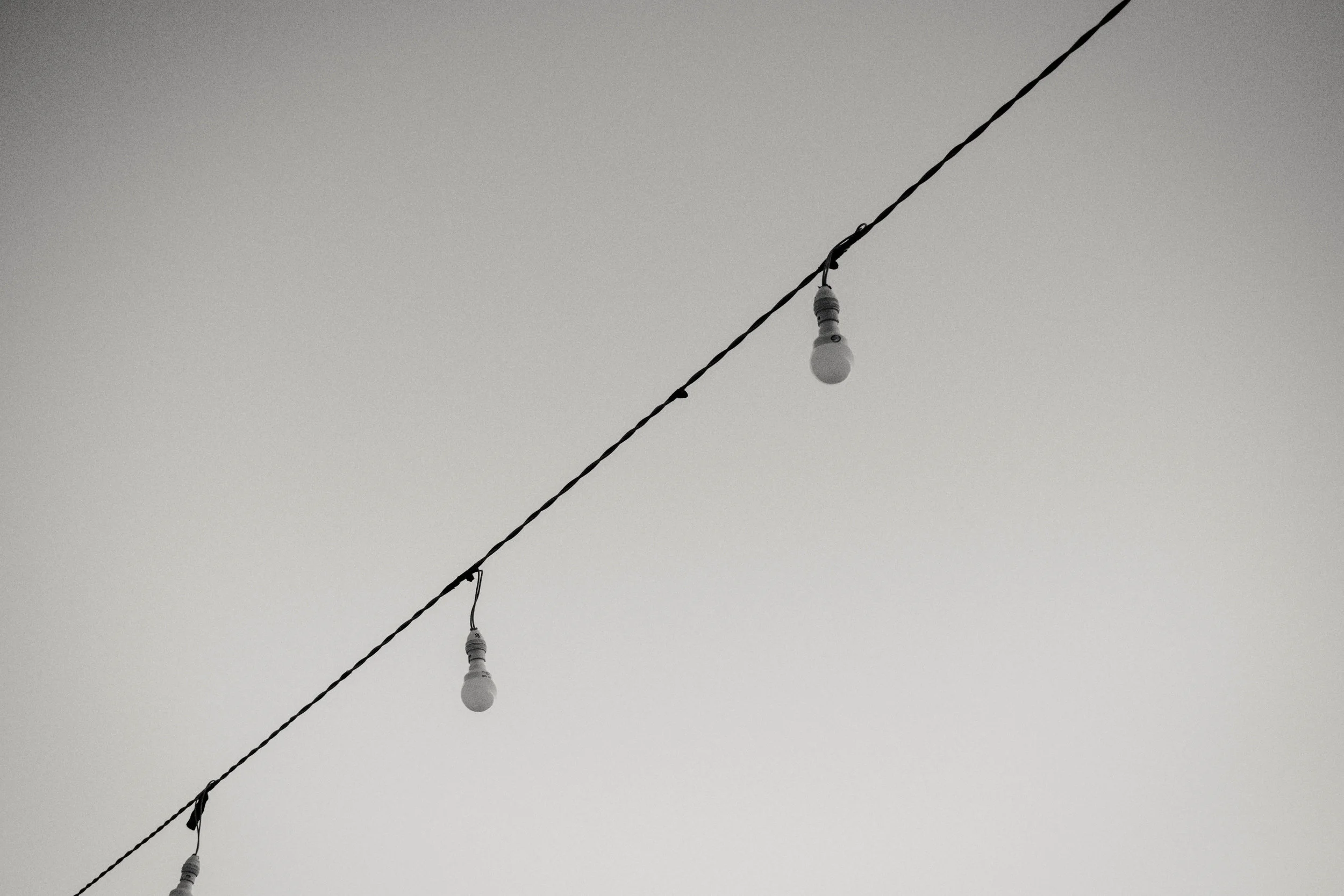 DSC_1398.jpg