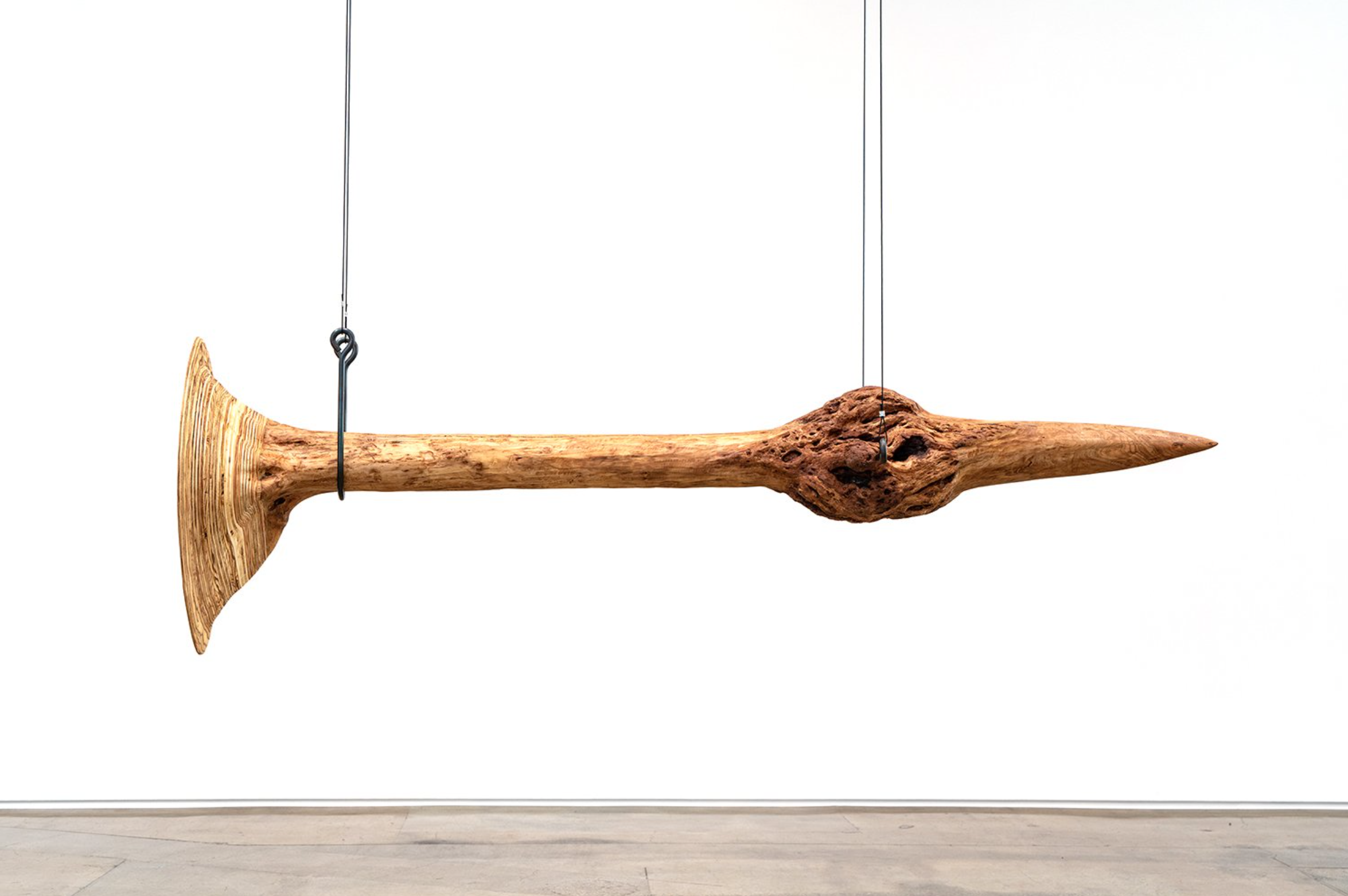   Alicia Adamerovich, "Blaring in a vacuum," 2022, maple tree, plywood, forged steel rods and aircraft cable, 26 1/2 x 85 3/4 x 25 1/4 inches  