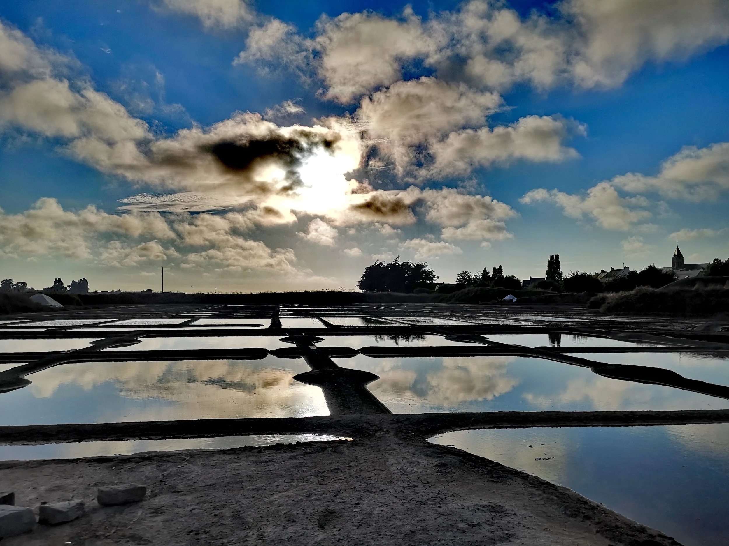 Salt Marshes in Guerande