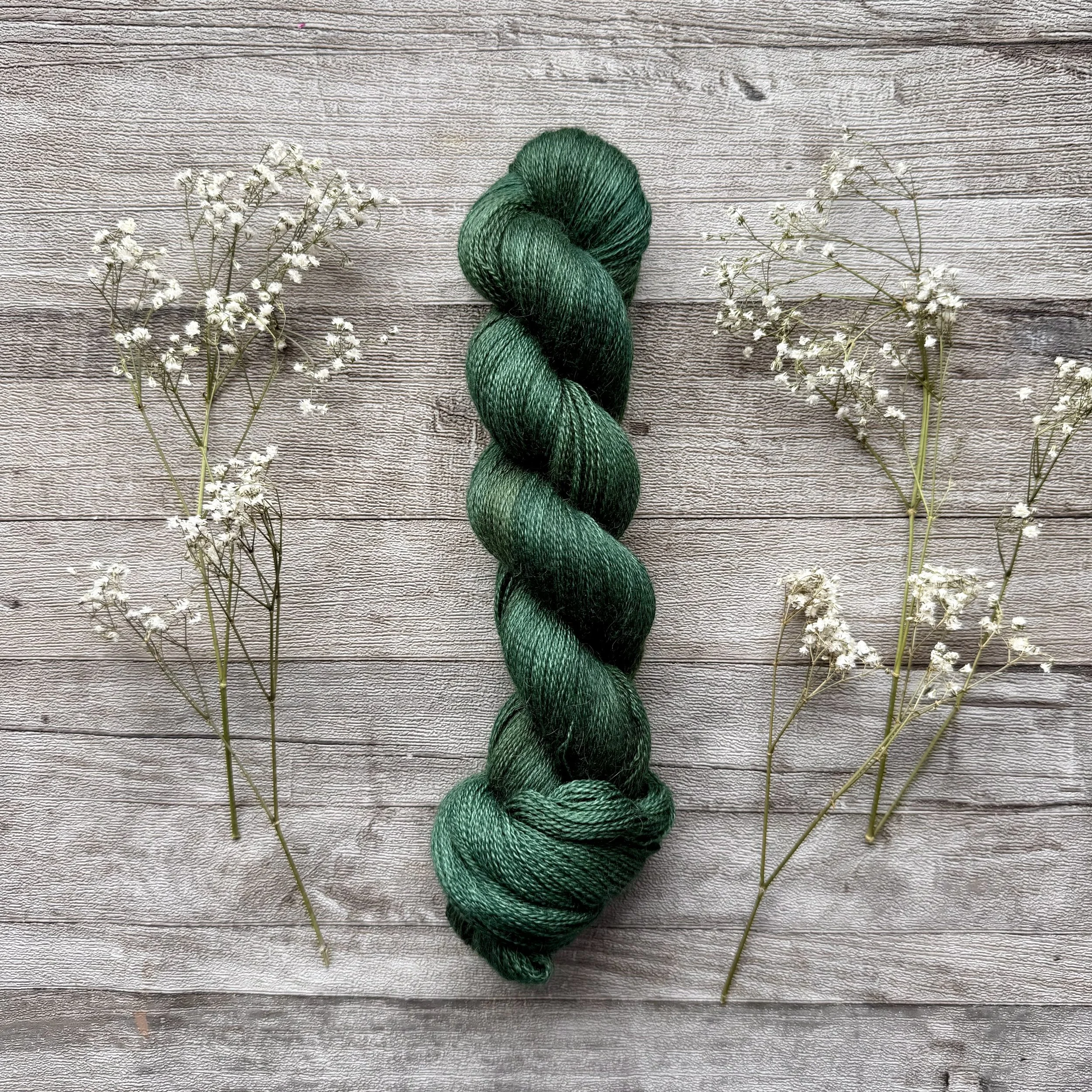 Instavennlig plante, Babyalpakka lace