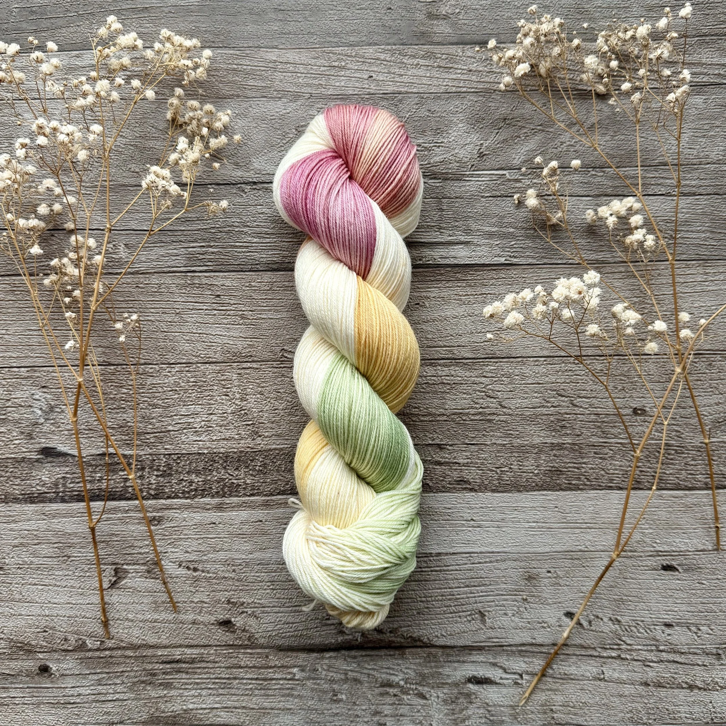 Tulipan, Tynn merino