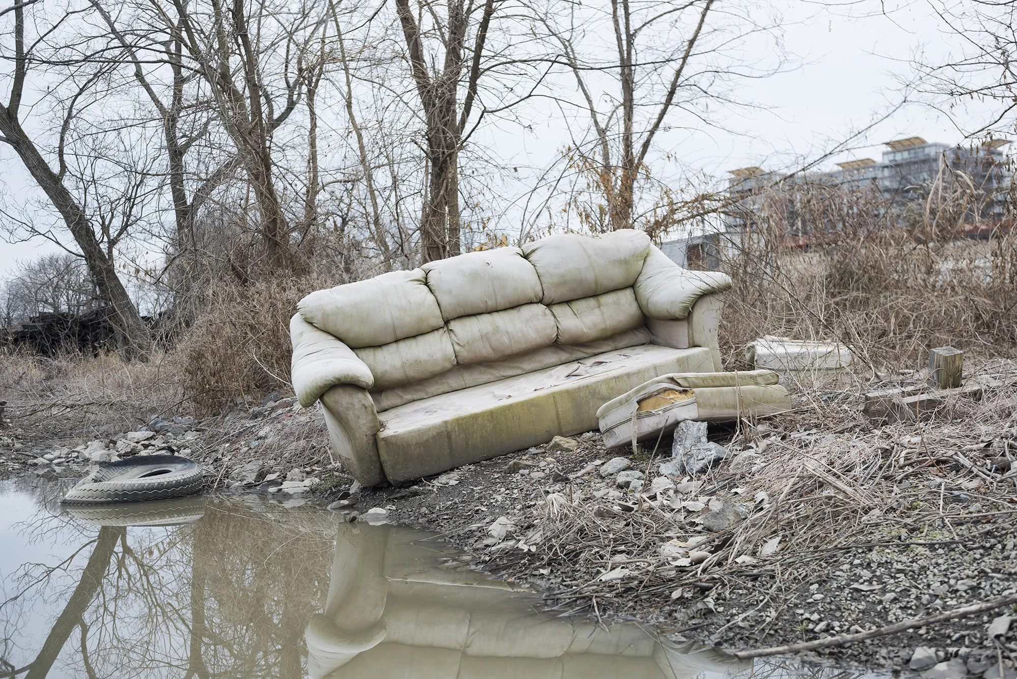 Couch.jpg