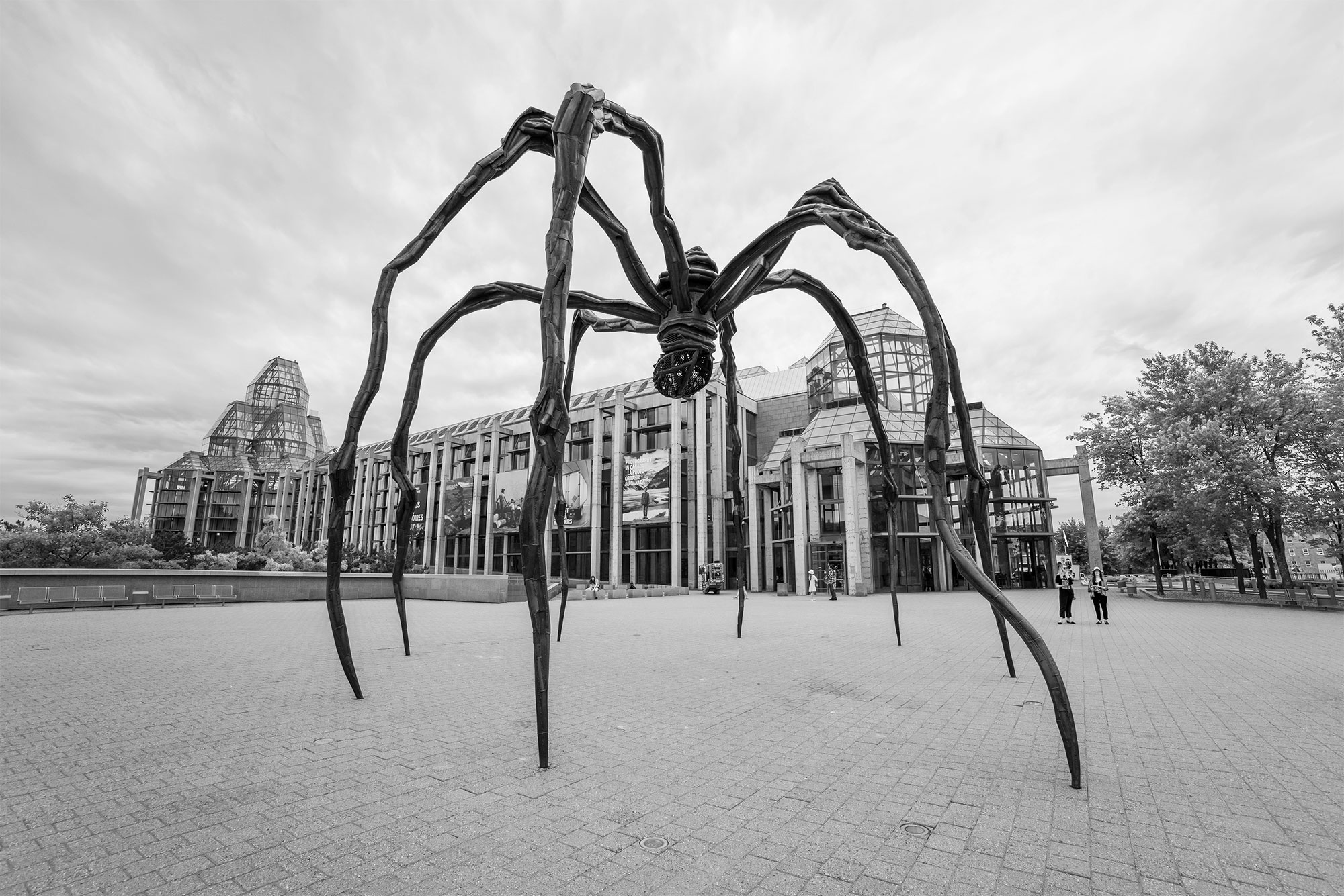 Ottawa_Spider.jpg