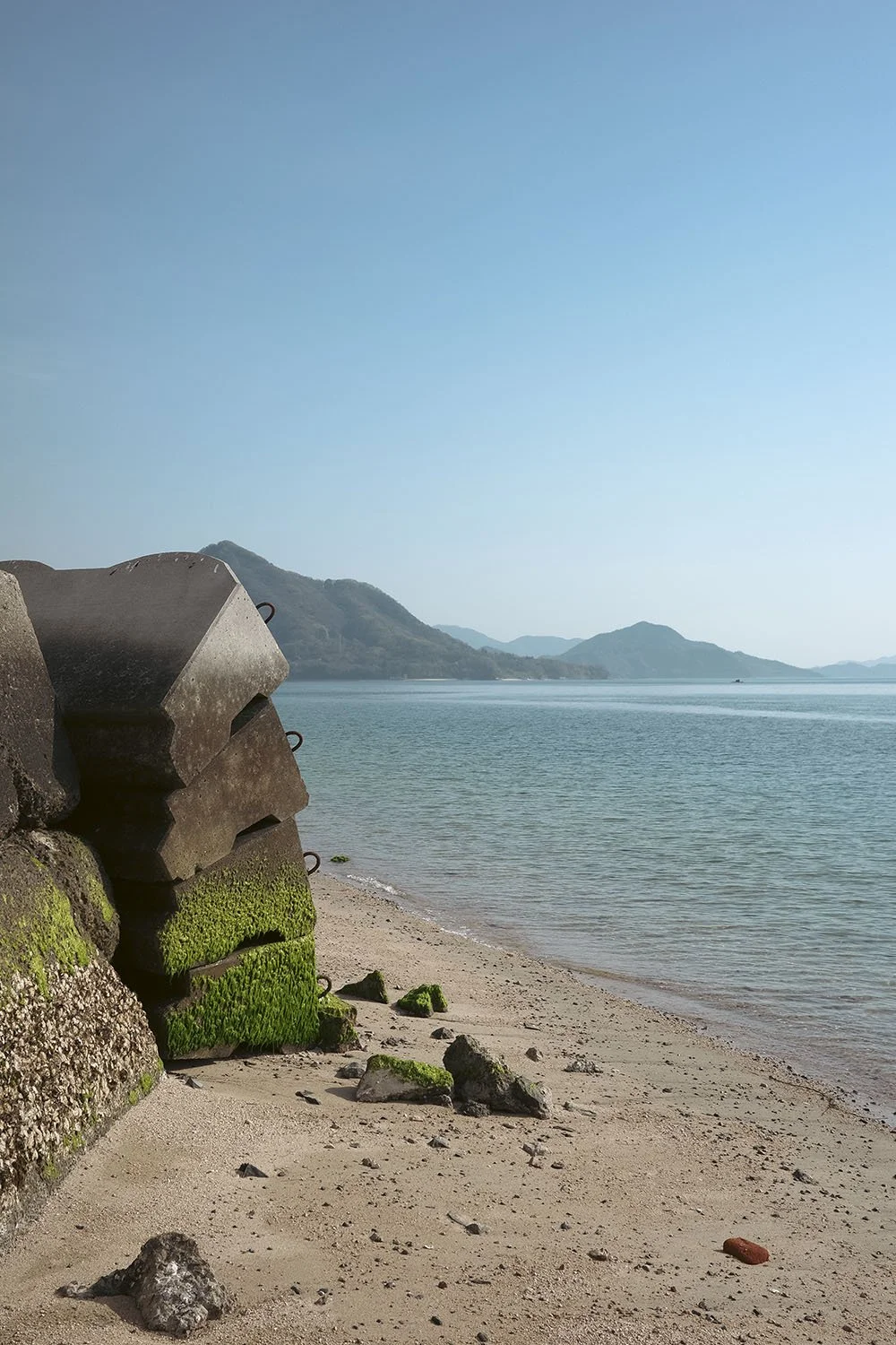   Ōkunoshima | Rabbit Island      A former manufacturing site of poison gas during WWII, this island in the Inland Sea of Japan is home to countless rabbits that roam its hills. 