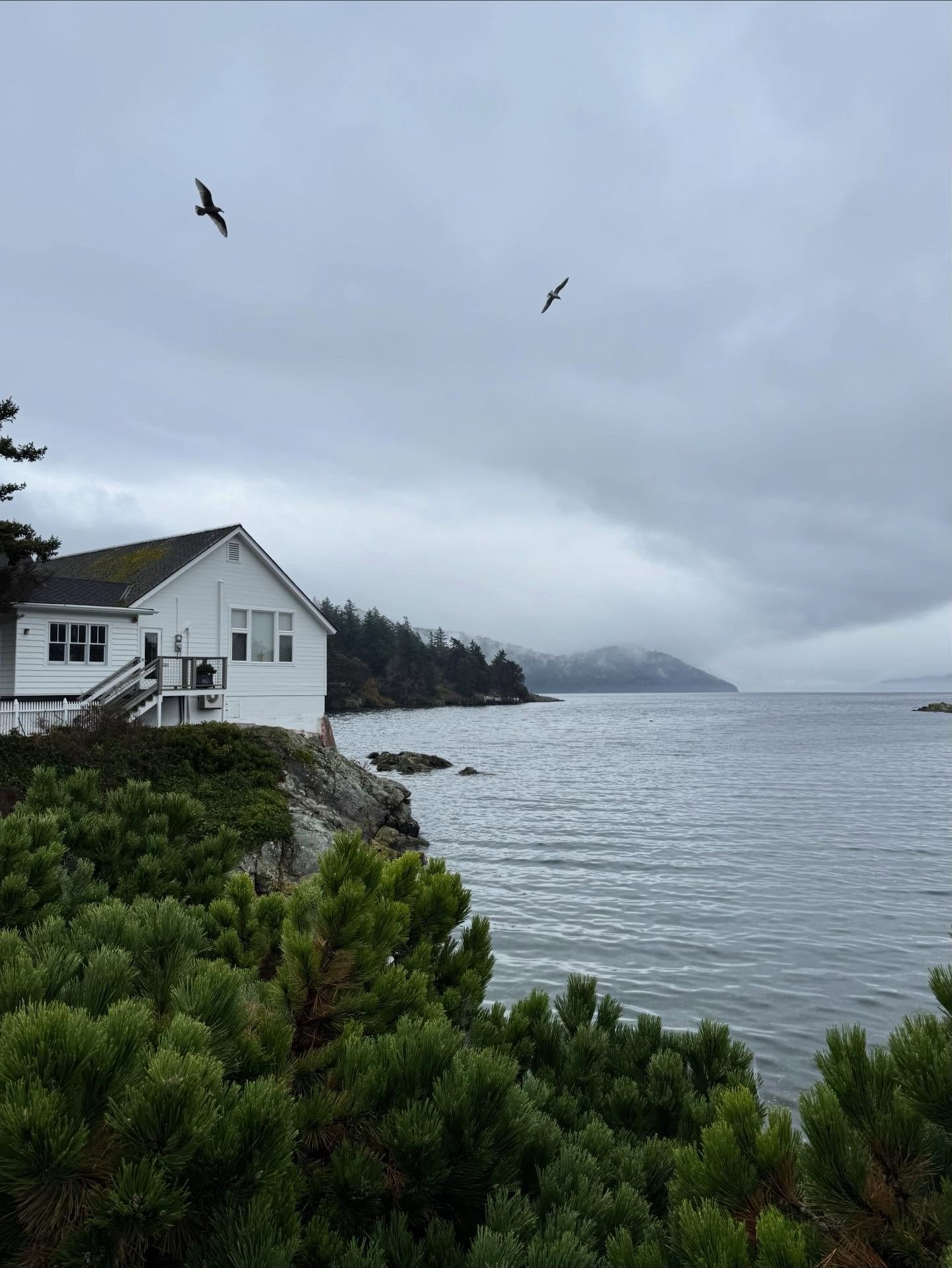 Spent a week on Orcas Island, writing&mdash;fueled by tea, pastries, and a gorgeous ocean view. The perfect inspiration as I revised STORMRAVEN, my PNW haunted island book that comes out next year. 🌊👻🕯️

Aaand this past weekend I finally wrapped u