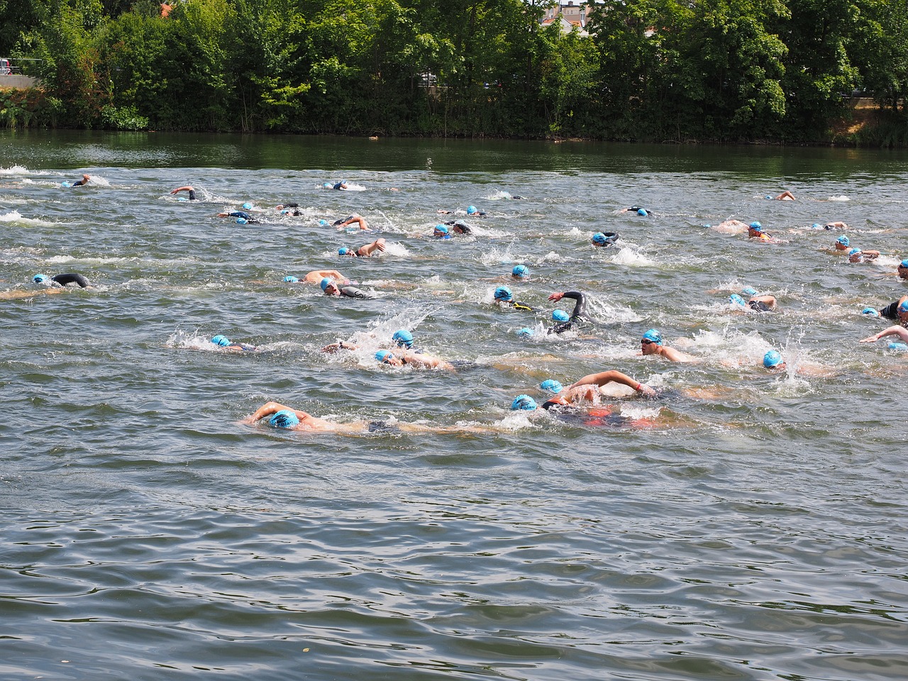swim-2147892_1280.jpg