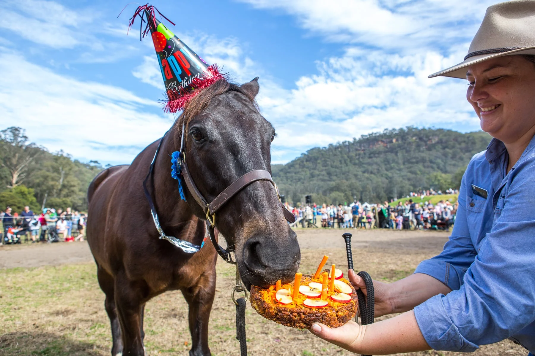 horse birthday.jpg