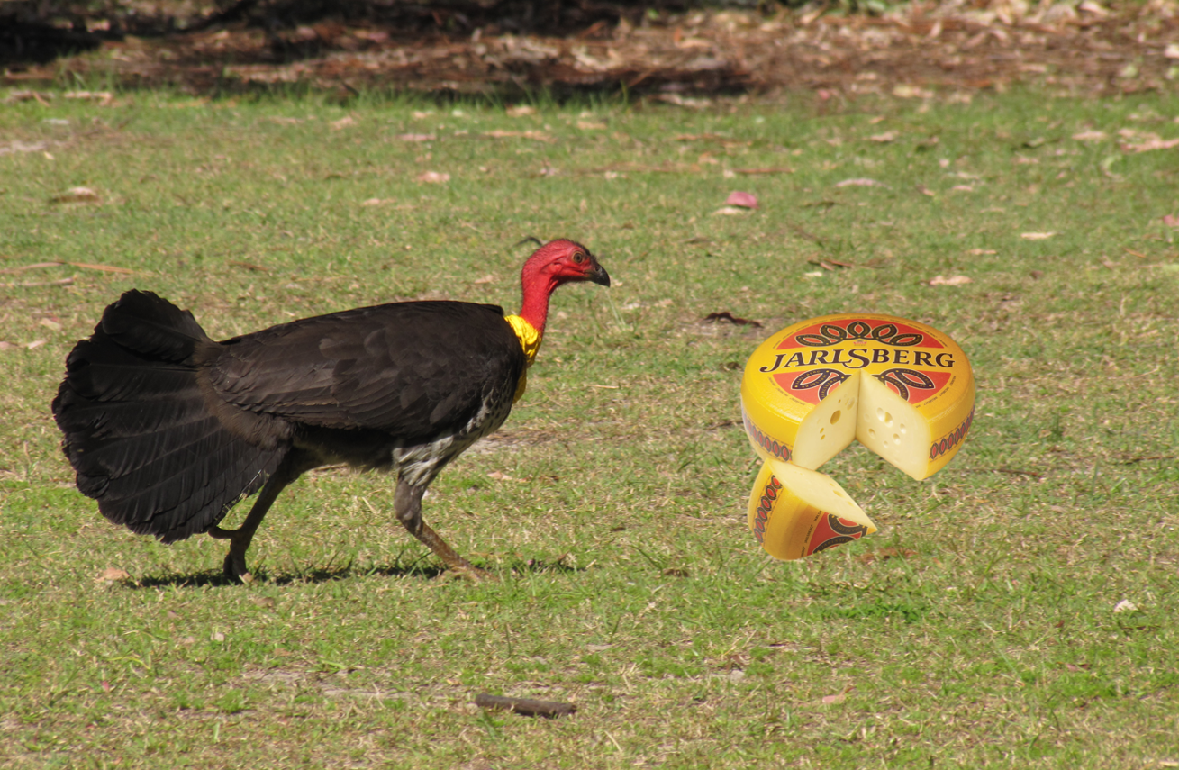 Turkey attacks curds.png