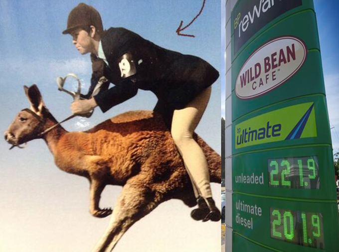 Aussie Kids Forced To Actually Ride Kangaroos To School Amidst Soaring Petrol Prices