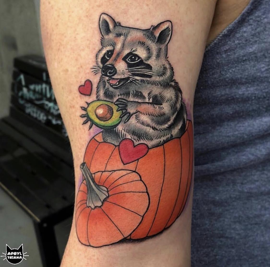 Pumpkin the raccoon