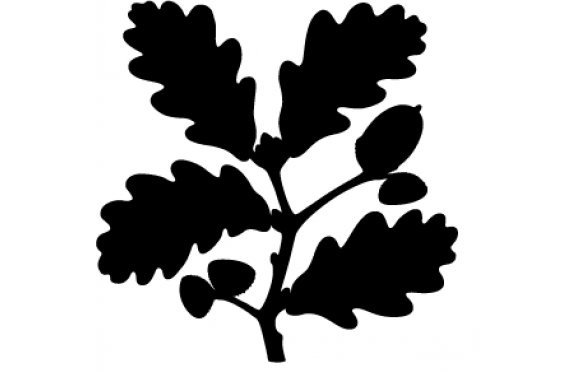 Omnipods – Approved Supplier of National Trust Properties