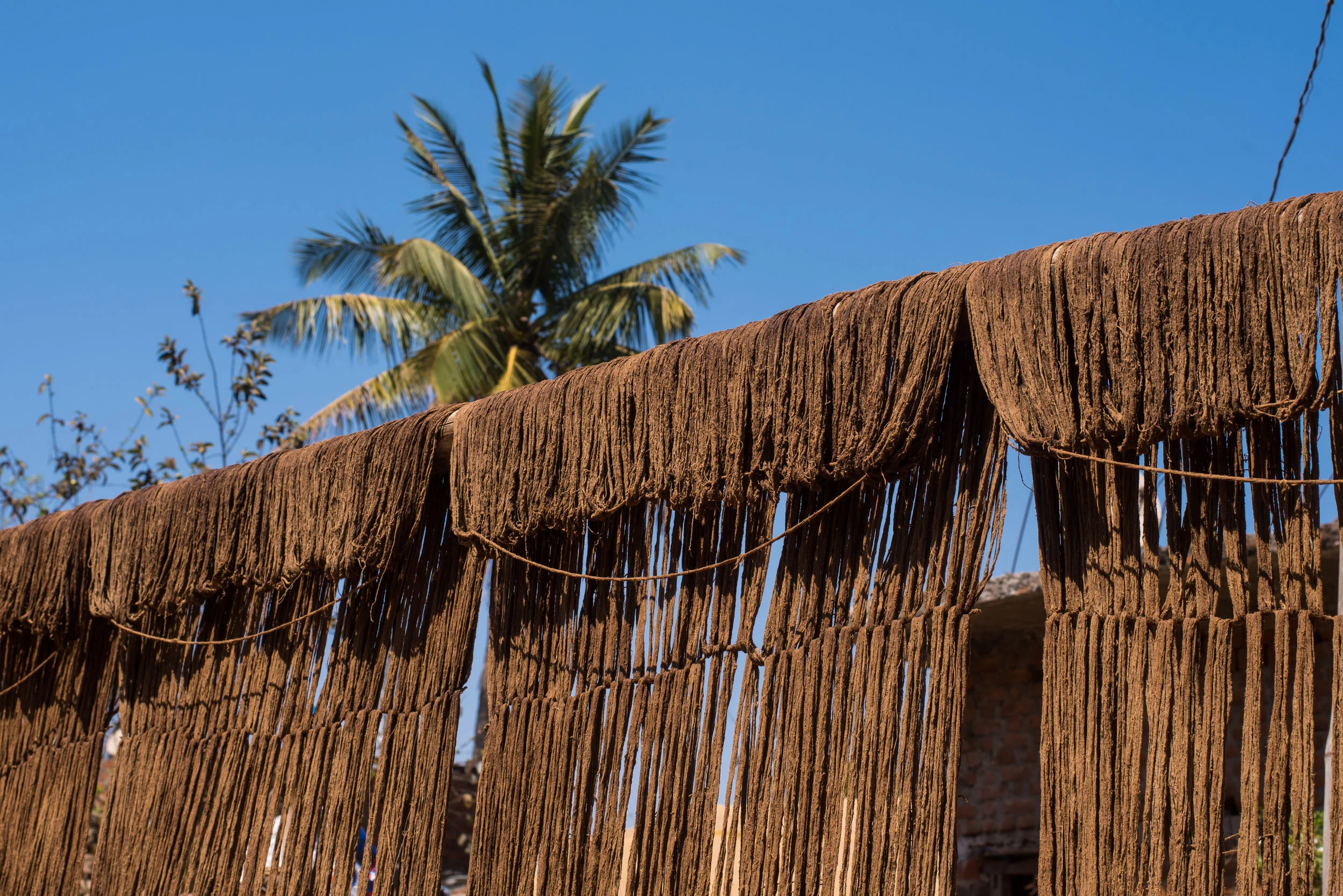 Yarn drying on bamboo poles
