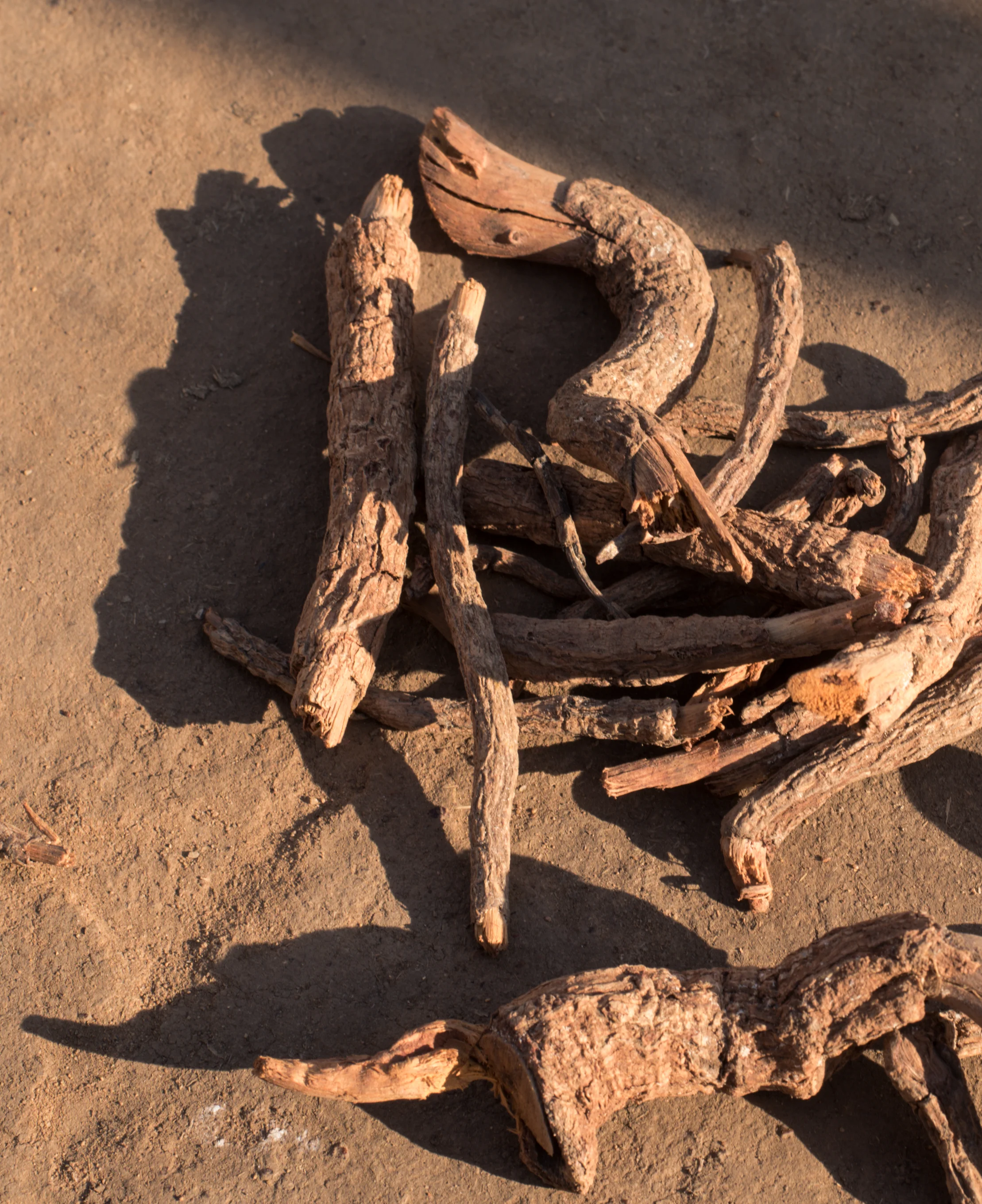 Dried Madder (Aal) roots