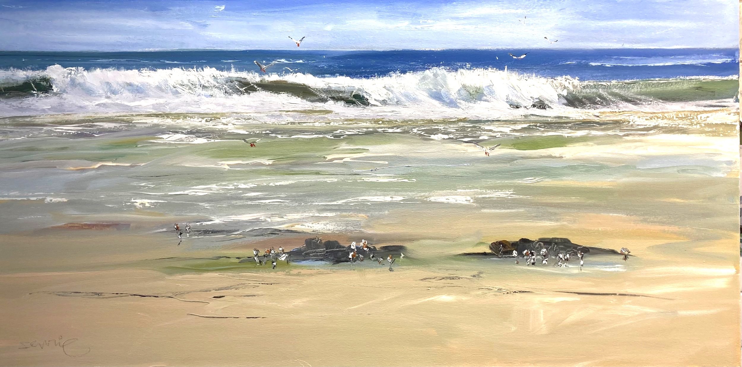 Gulls 'n'surf