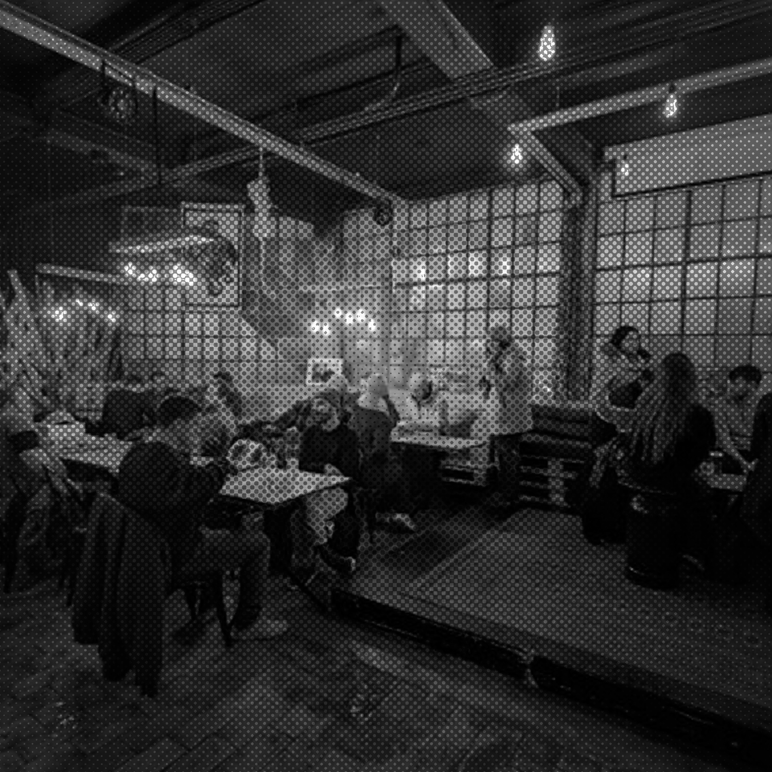 <span style="font-family: Sk-Modernist-bold; font-size: 16px;">Brasserie de la Mule</span><br /