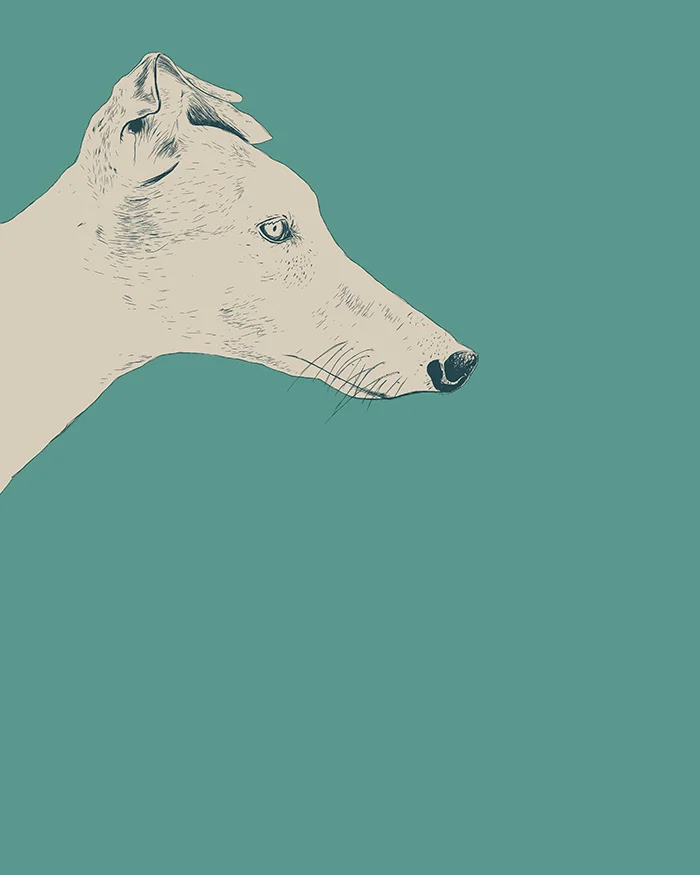 Animals-02_Illustration_The-Red-Wolf.jpg