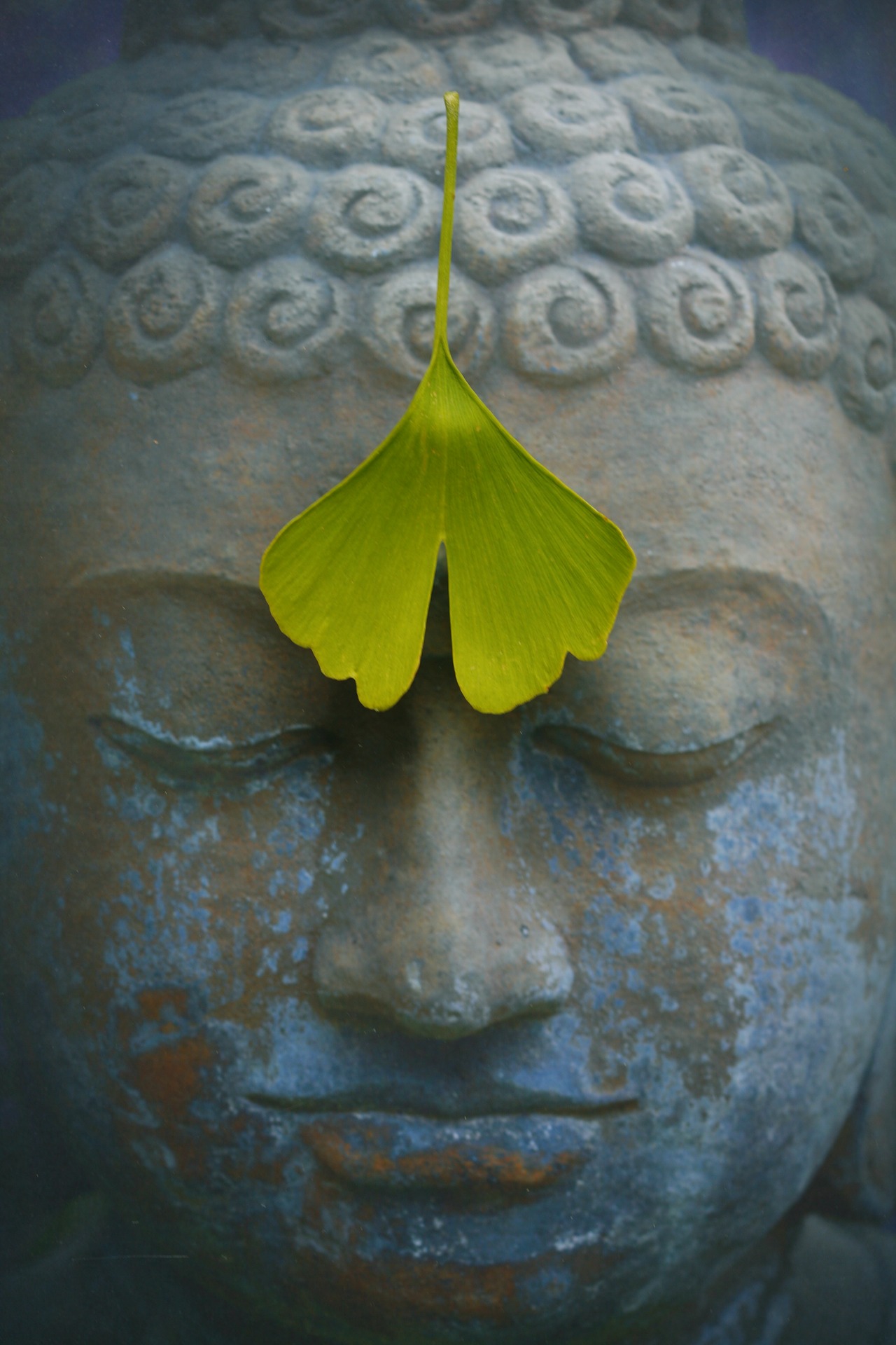 buddha with a leaf.jpg