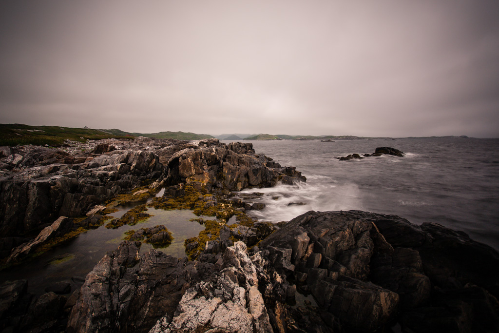 newfoundland-photography-3.jpg