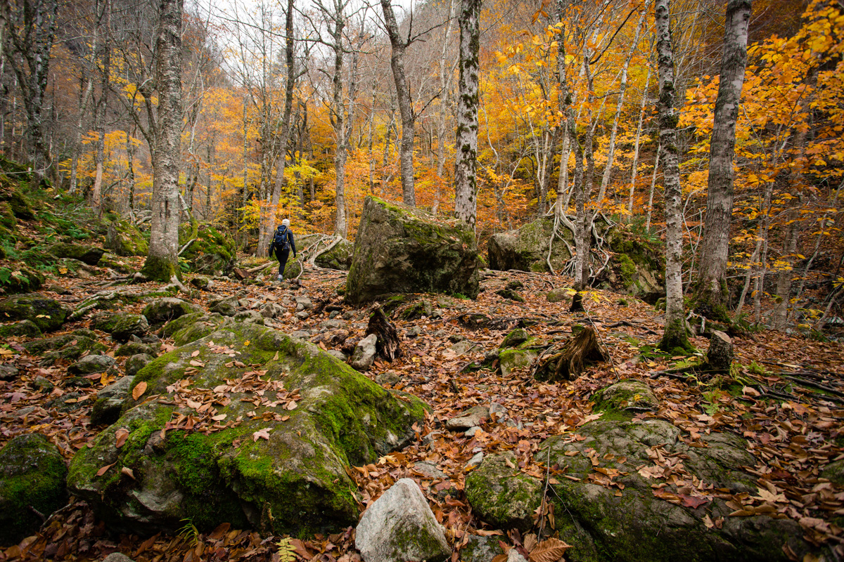 hiking-cape-breton-3.jpg