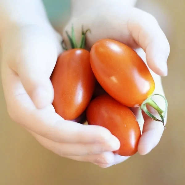 Eggy Bread, Bacon and Tomatoes