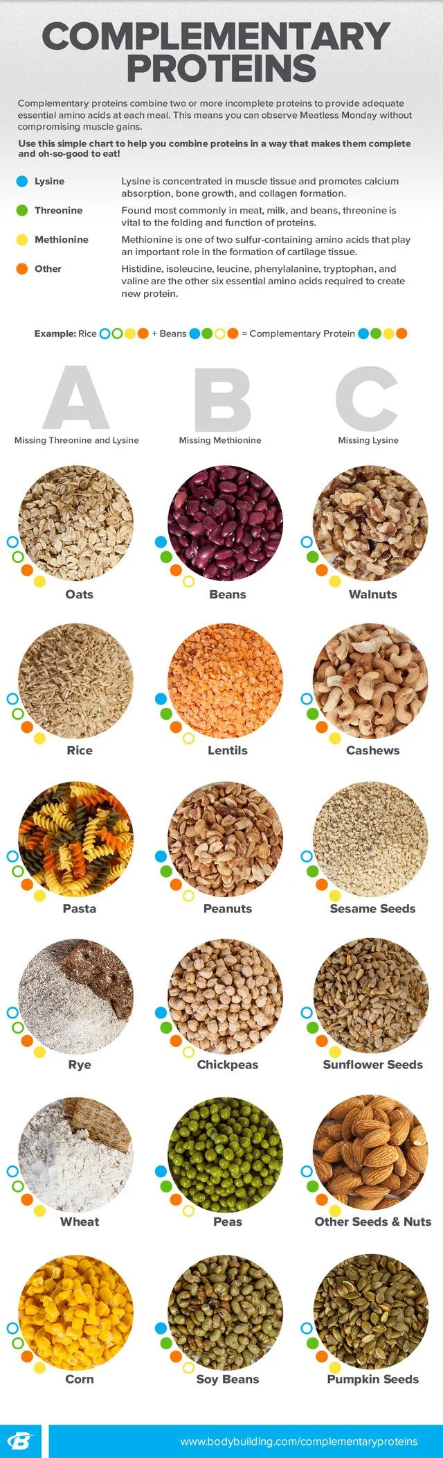 bf6adf2c0d833a84e9c2ec58f80e9640--vegan-protein-protein-recipes.jpg