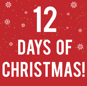 12 Days of Christmas Workout