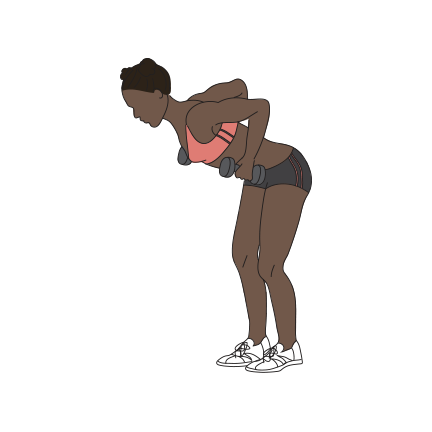 Gym Full Body Routine