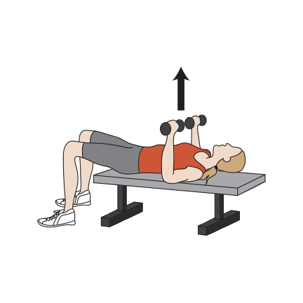 Gym 4 Day Split Routine 