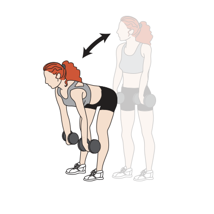 Gym Plan Focusing on Back, Shoulders and Glutes