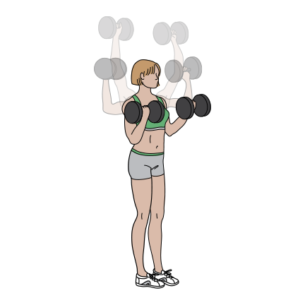 6 Day Gym Plan Focusing on Arms and Shoulders TAKE 2