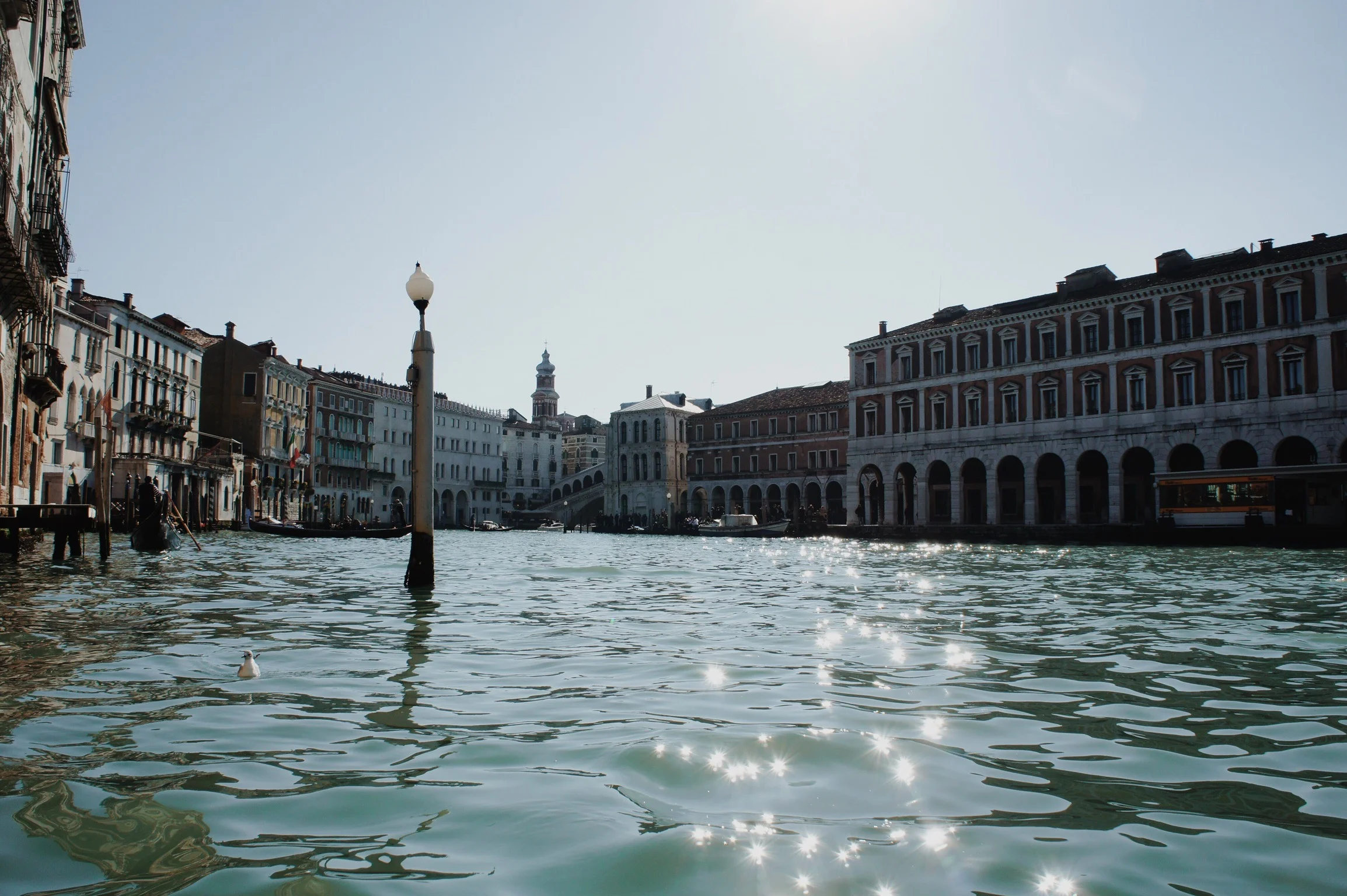  vience, italy 