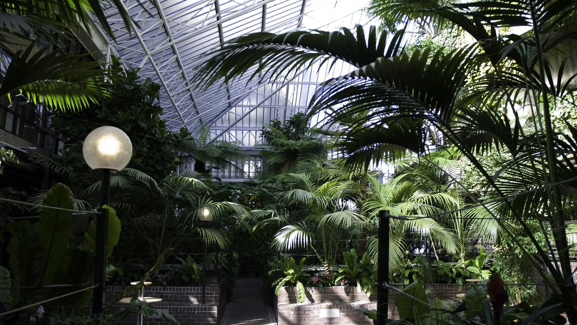 The Barbican Conservatory
