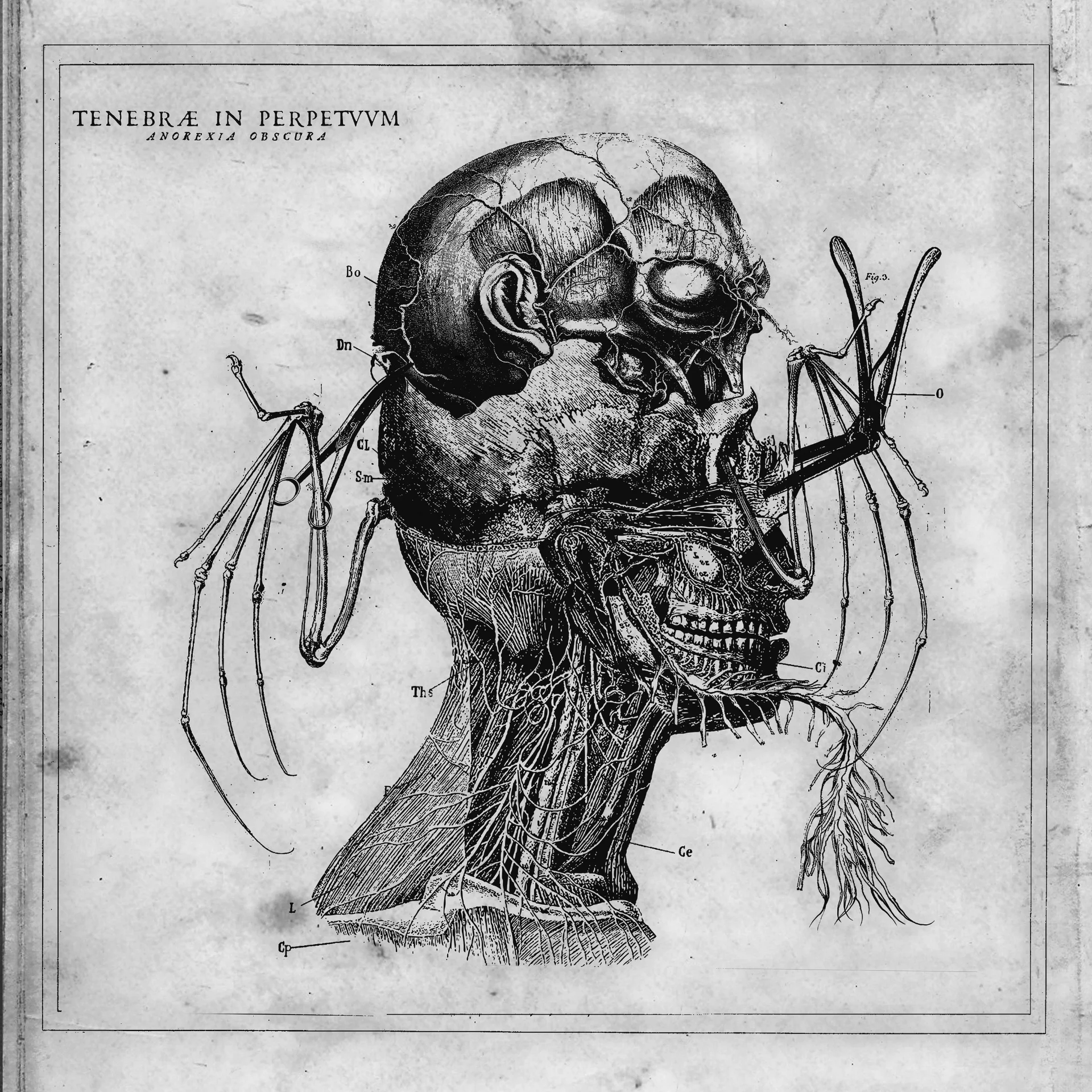 DMP0178_cover.jpg