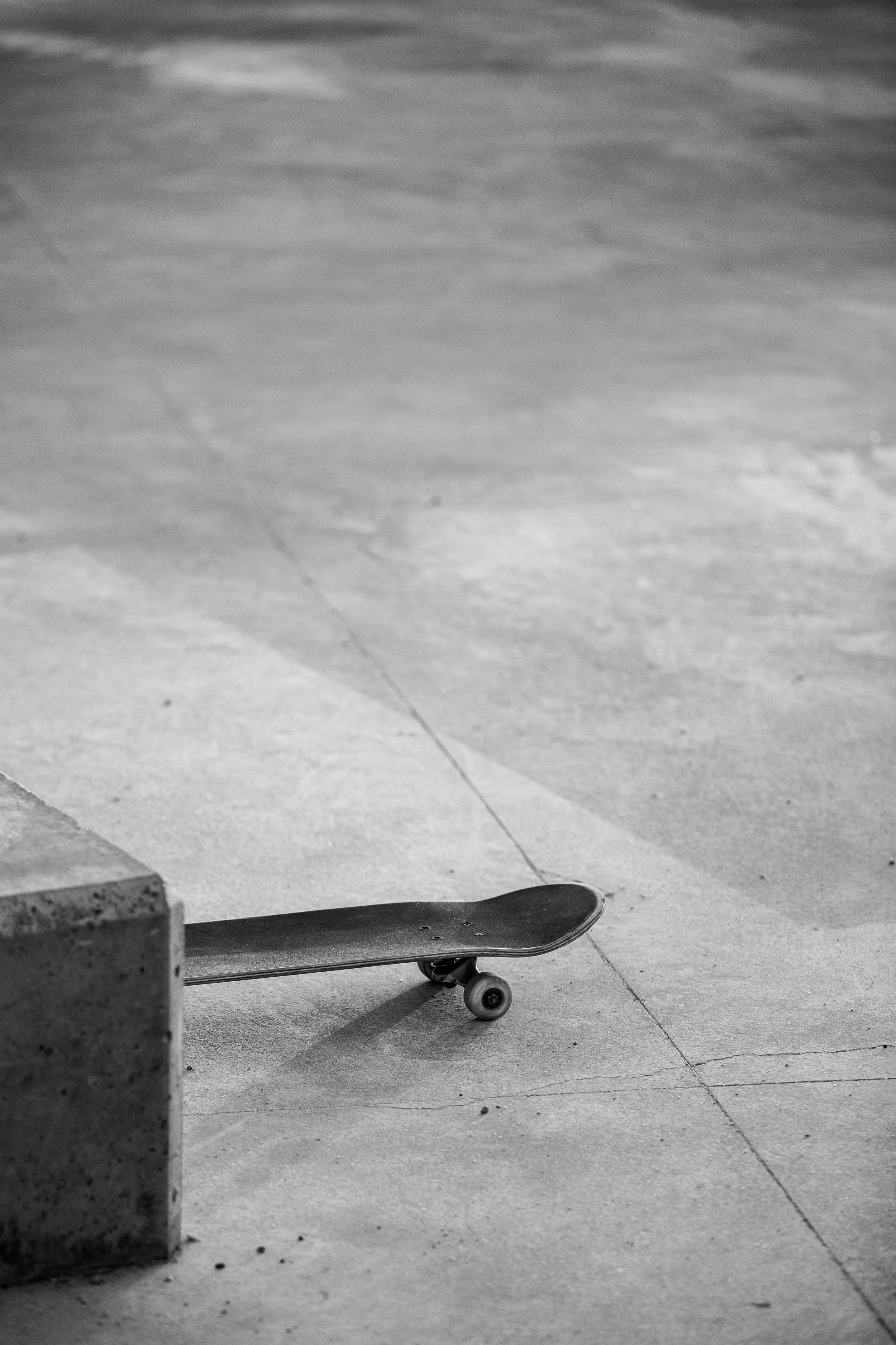 ©BÁRBARA SÁNCHEZ PALOMERO