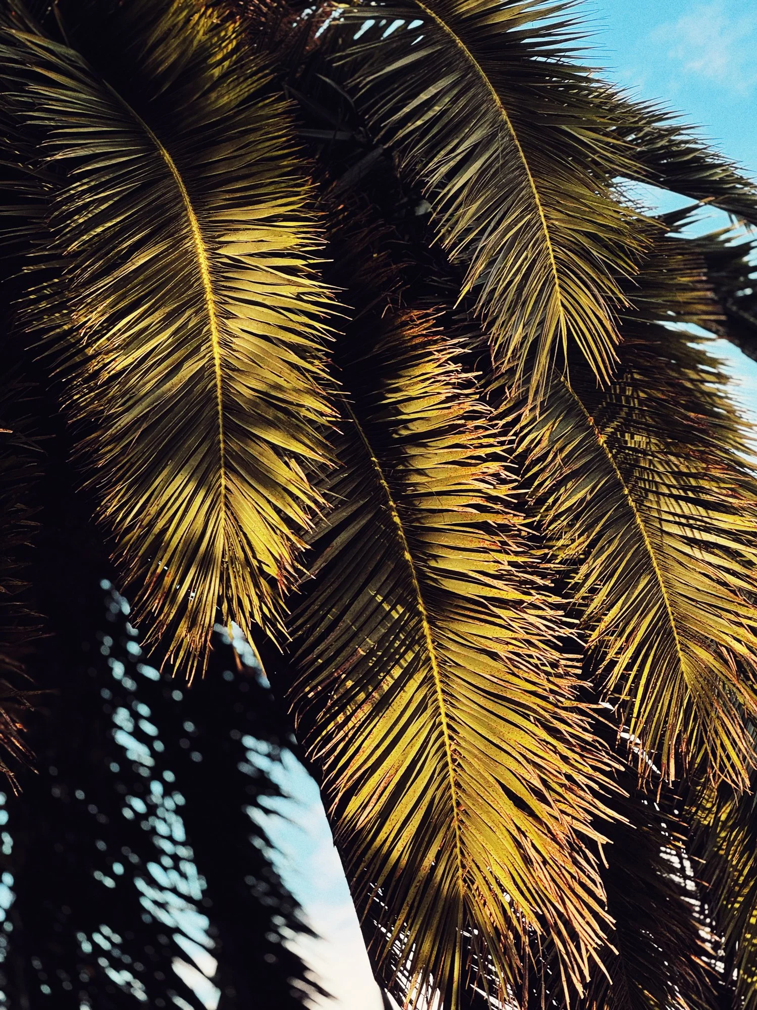 VISUAL DIARY ©BSP IMG_7367.jpg